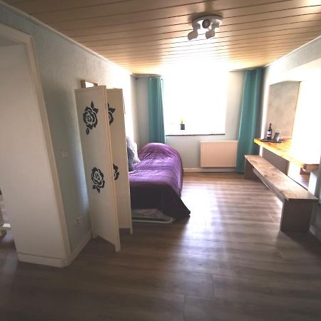 Mooi Ruim Appartement In Antieke Stadsboerderij Schönecken Eksteriør bilde