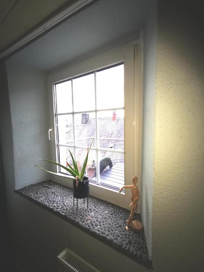 Mooi Ruim Appartement In Antieke Stadsboerderij Schönecken Eksteriør bilde