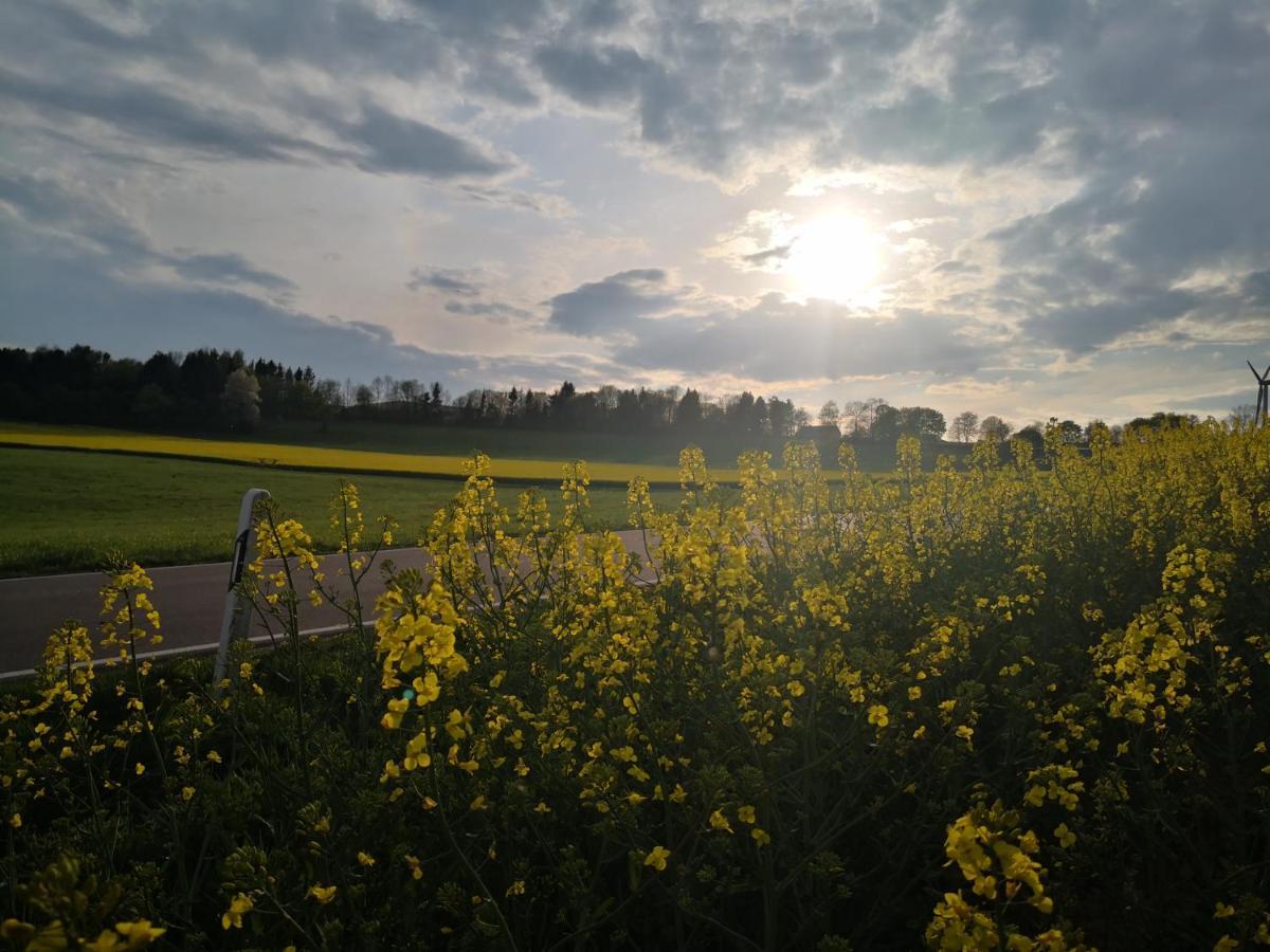 Mooi Ruim Appartement In Antieke Stadsboerderij Schönecken Eksteriør bilde