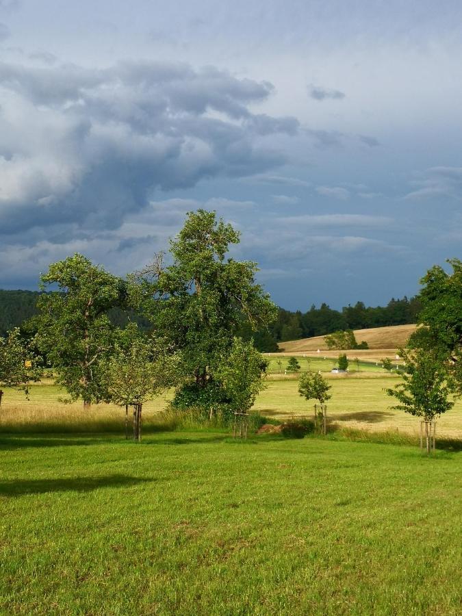 Mooi Ruim Appartement In Antieke Stadsboerderij Schönecken Eksteriør bilde