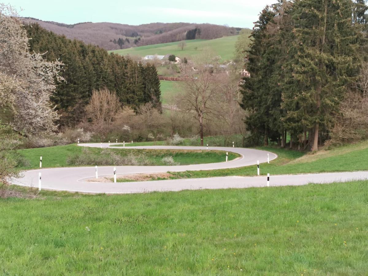 Mooi Ruim Appartement In Antieke Stadsboerderij Schönecken Eksteriør bilde